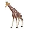 Besttoy Wildlife - Giraffe Weiblich - Spielfigur 387006 -Spielzeug Verkauf Laden 225427 5031923870062 besttoy giraffe 02