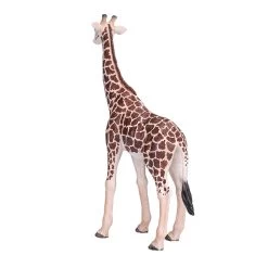 Besttoy Wildlife - Giraffe Männlich - Spielfigur 381008 -Spielzeug Verkauf Laden 225428 5031923810082 besttoy giraffe male 06