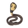 Besttoy Wildlife - Königskobra - Spielfigur 387126 1 Besttoy Wildlife - Königskobra - Spielfigur 387126 -Spielzeug Verkauf Laden 225430 5031923871267 besttoy koenigscobra 06