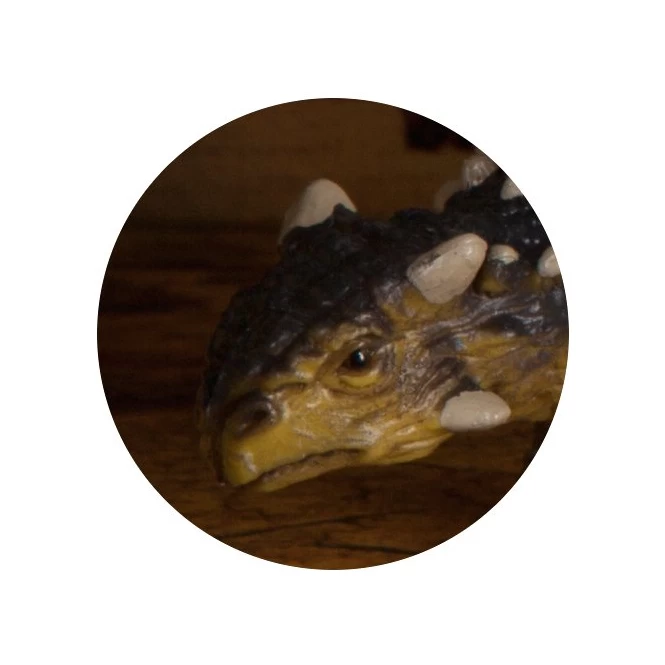 Dinowelt Spielfigur - Saichania 4 Dinowelt Spielfigur - Saichania – Bild 2