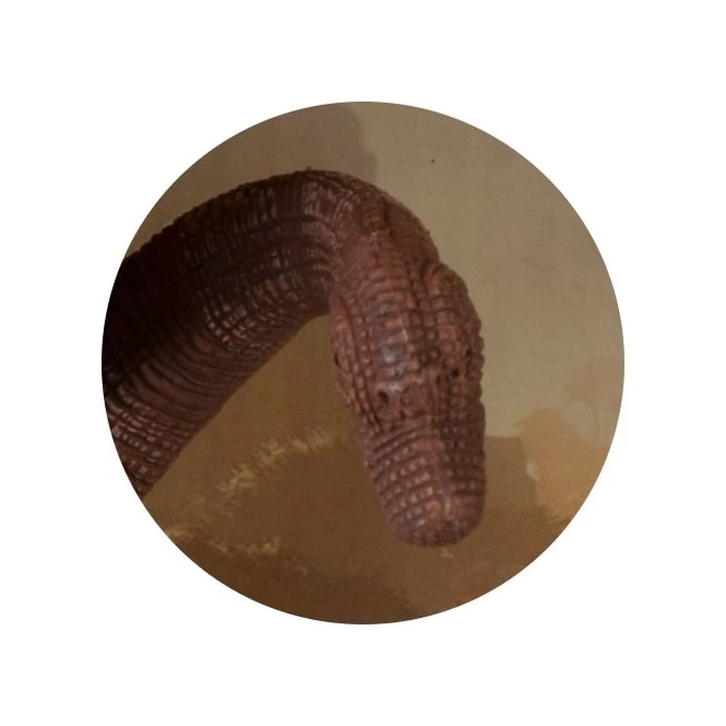 Dinowelt Spielfigur - Brachiosaurus 4 Dinowelt Spielfigur - Brachiosaurus – Bild 2