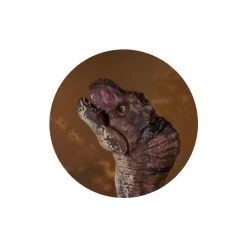 Dinowelt 2er Spielset - 25102 -Spielzeug Verkauf Laden 4016096251024 dinosaurier b 24219 b 25102 01 1