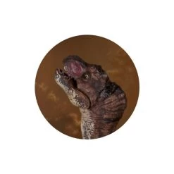 Dinowelt 3er Spielset - 24219 -Spielzeug Verkauf Laden 4016096251024 dinosaurier b 24219 b 25102 01